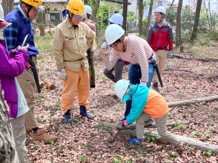 ノコギリでの作業