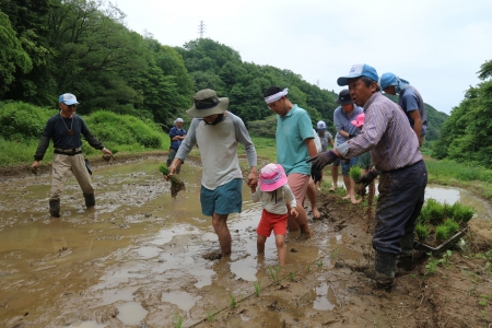 田植えの準備