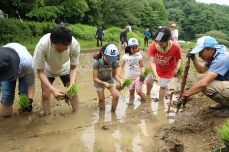 田植え