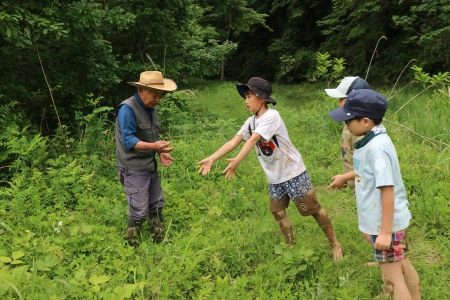 生き物探し