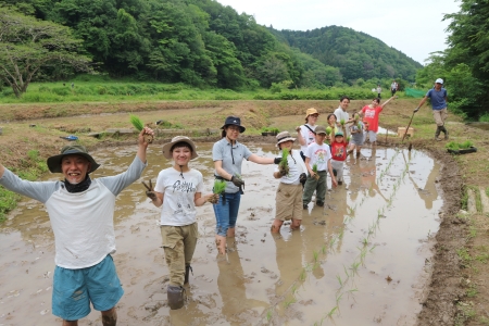 田植え