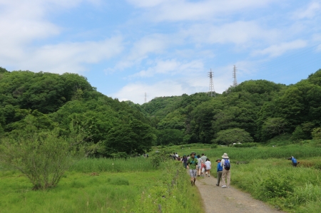 田んぼに移動