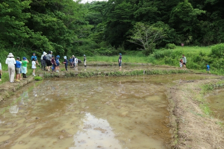 田んぼに到着