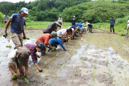 田植え子どものみ