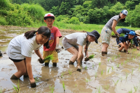 田植え子どものみ