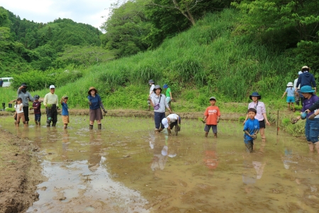 田植え子どものみ