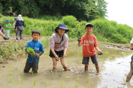 田植え子どものみ