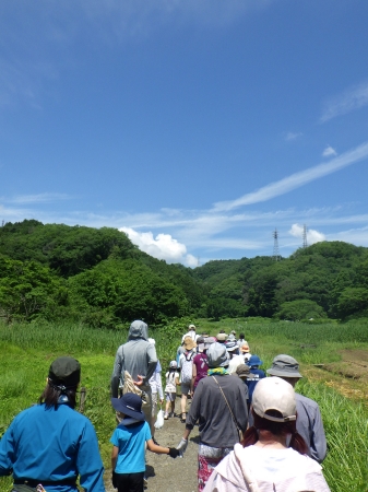 田んぼへ移動