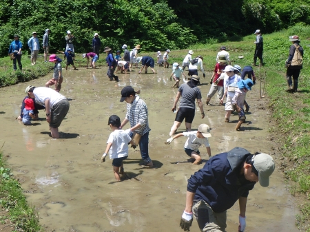 草取り終了