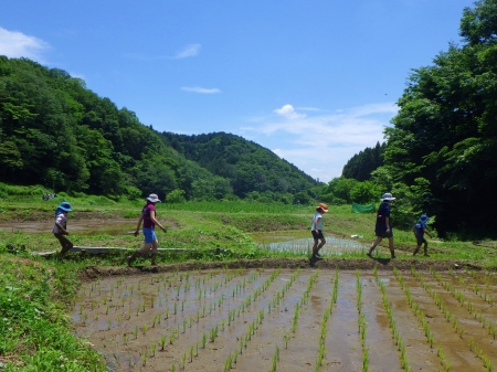 田植え終了