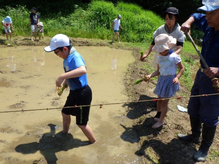 田んぼに入る子どもたち