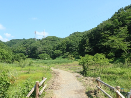 横沢入里山保全地域