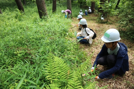 草刈り