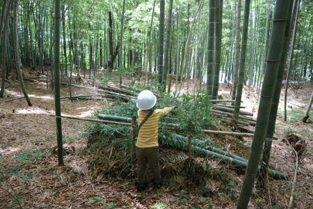 集積所へ運搬