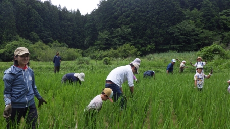 草取りをする参加者