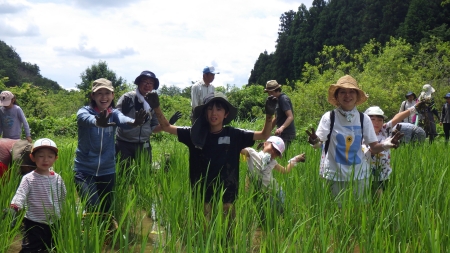 草取りする参加者たち