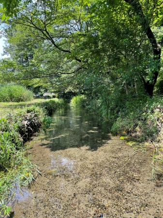 矢川緑地保全地域