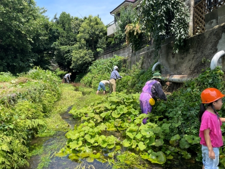 川沿いと湿地の草取り