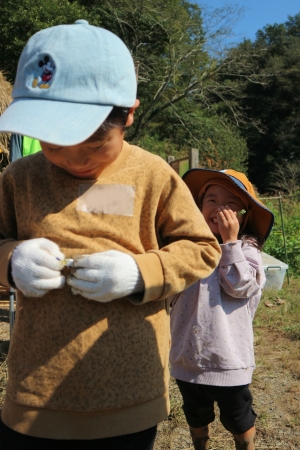 カマキリを観察する兄弟