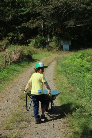 台車を押す少年