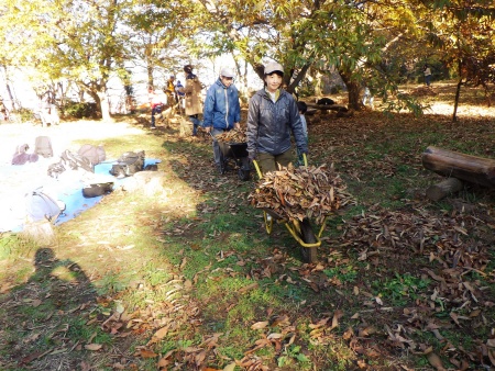 落ち葉運び