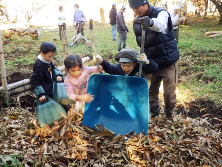 落ち葉運び