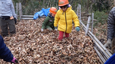 集めた落ち葉を踏む