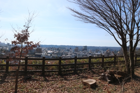 保全地域からの風景