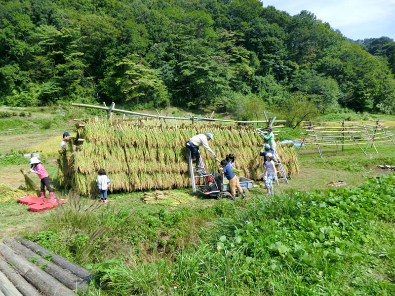 横沢入里山保全地域 東京の自然にタッチ 里山へgo