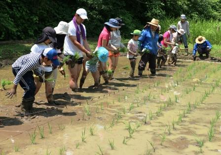 追加開催 東京の里山で稲作体験 田植えの季節到来 東京の自然にタッチ 里山へgo