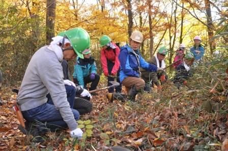 里山や雑木林についてちょっと知りたい方大歓迎 鎌などを使った雑木林のお手入れ体験 八国山緑地 西武 狭山丘陵パートナーズ 東京の自然にタッチ 里山へgo